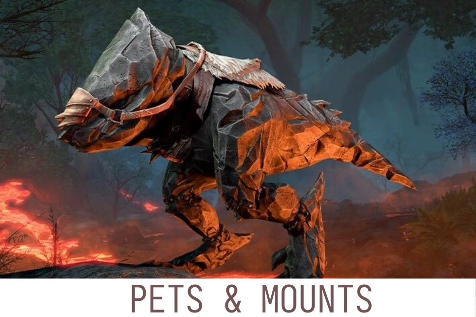 Browse Mounts & Pets